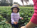 11241028_10153845697602662_725080664793604206_n[1]